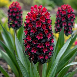 Гиацинт Джем Стоун купить по цене от 2099р. в интернет-магазине «Посадика» с доставкой почтой в в Елеце и по всей России – [изображение №1].