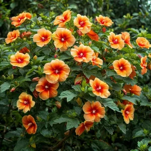 Гибискус Кристал Рэй купить по цене от 458р. в интернет-магазине «Посадика» с доставкой почтой в в Елеце и по всей России – [изображение №1].