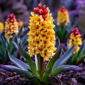 Гиацинт Миднайт Мистери купить по цене от 2099р. в интернет-магазине «Посадика» с доставкой почтой в в Елеце и по всей России – [изображение №1].