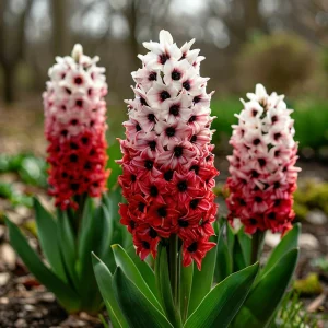 Гиацинт Скай Гарден купить по цене от 2099р. в интернет-магазине «Посадика» с доставкой почтой в в Елеце и по всей России – [изображение №1].